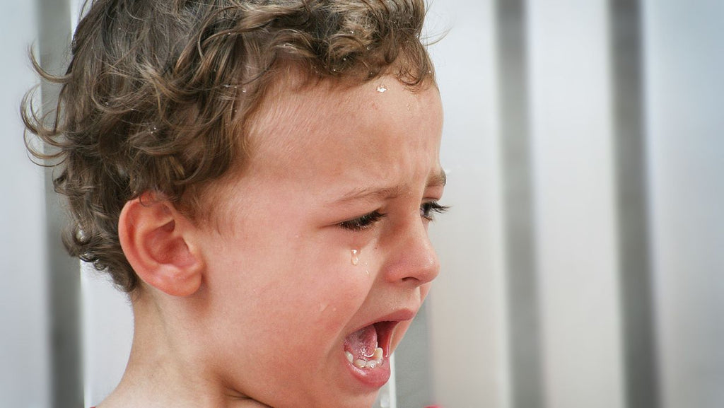 How to help your toddler with 'big emotions’ (before it turns into a tantrum)