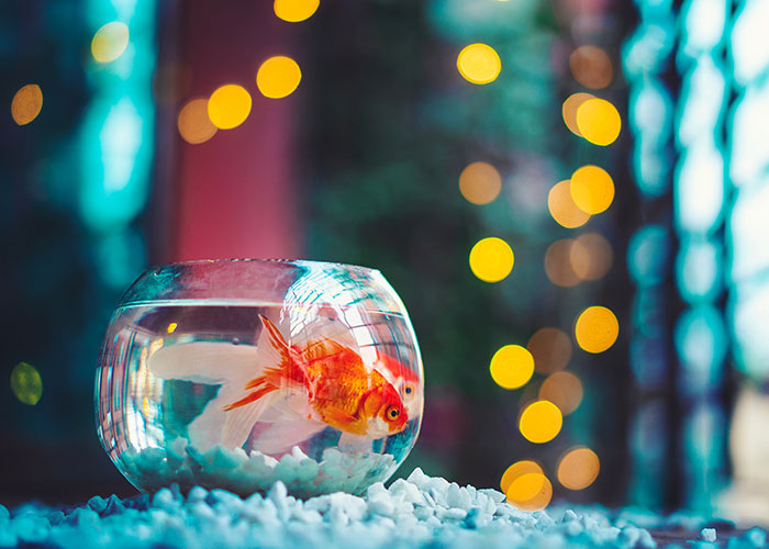 93 Times Kids Said Creepy Things That Freaked Out Their Parents