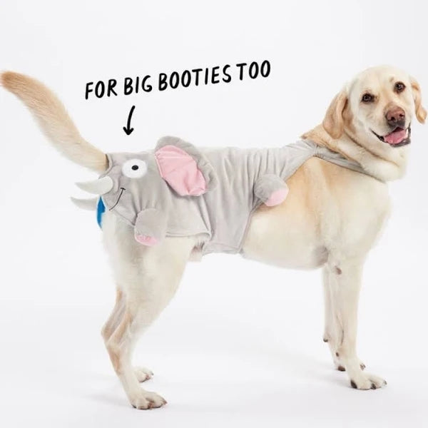 Lick-or-Treat! Pet Costumes Just in Time for Howl-oween
