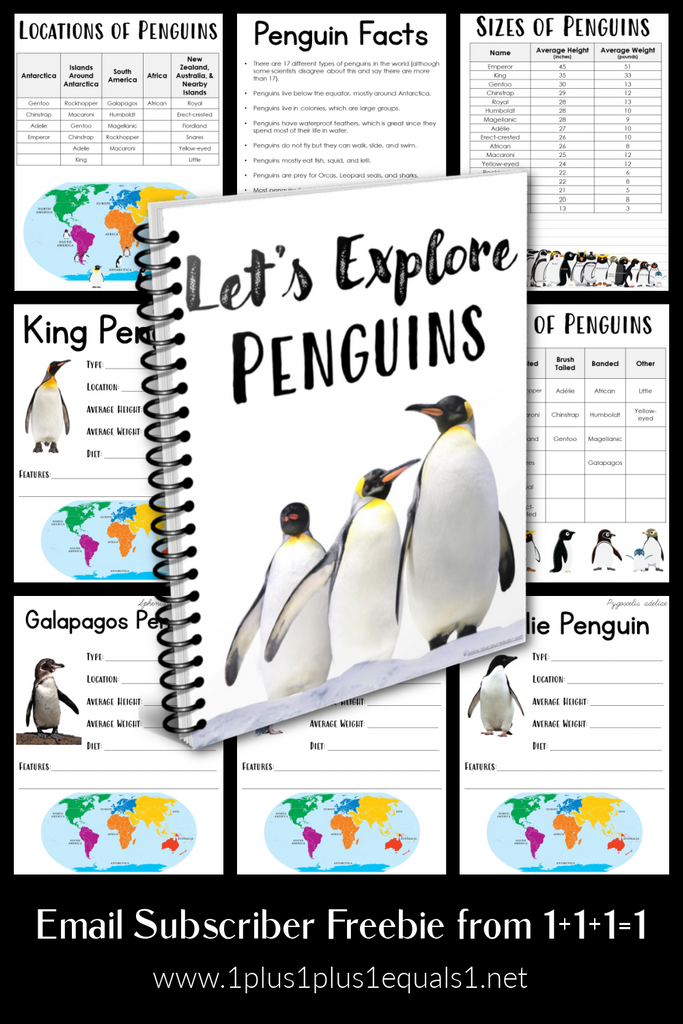 Let’s Explore Penguins ~ A Penguin Unit Study for Kids