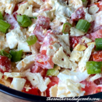 SOUTHERN TOMATO CRACKER SALAD