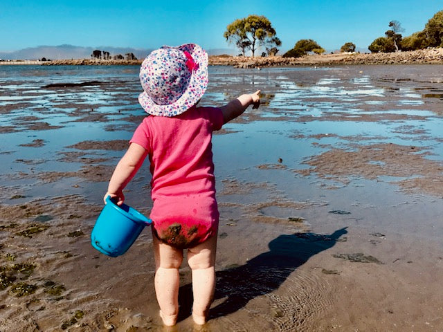 Crab Cove Beach and Visitor Center in Alameda