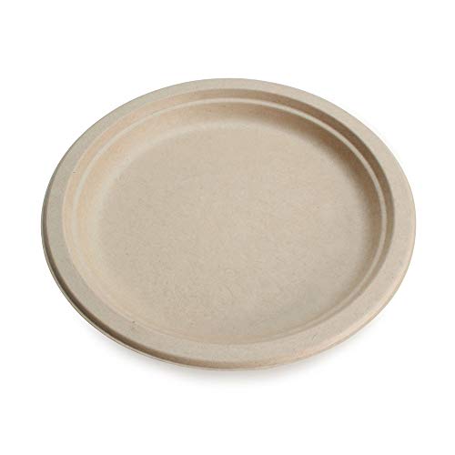 Top 19 Paper Plate | Disposable Plates
