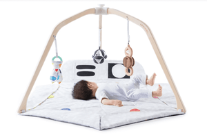 Mom Picks for Best Modern Wooden Play Gyms