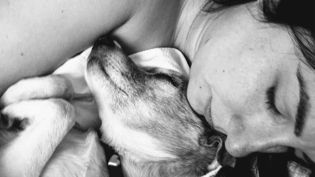 I love my newborn—but I miss my dog