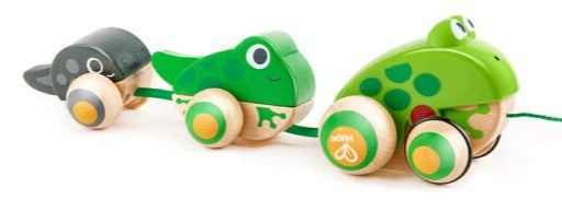 Hape Toddler Pull Along Frog Family