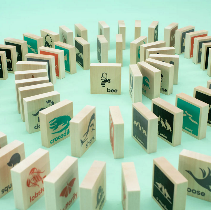 Wood Chips Collective Nouns