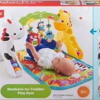 Fisher-Price Newborn-To-Toddler Gym
