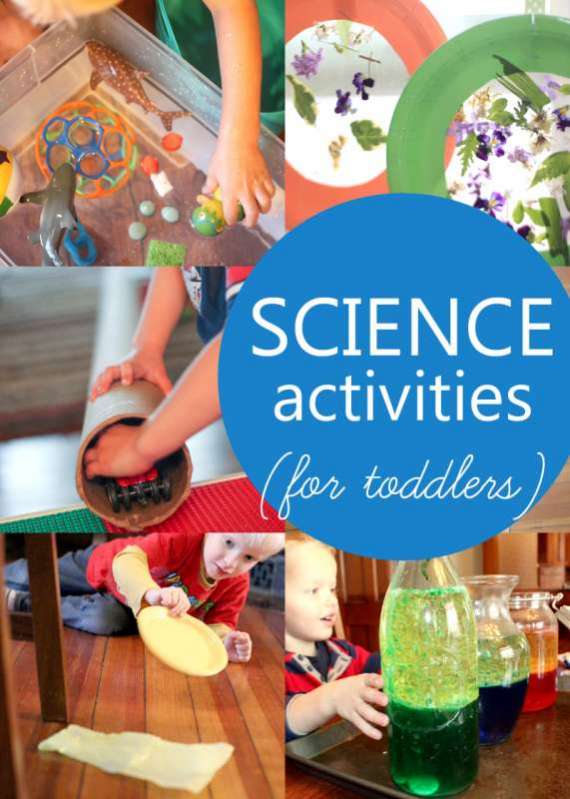 Science Activities for Toddlers to Try