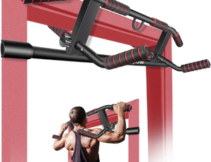 The Best Doorway Pull-Up Bars, According to a Guinness World Record Holder