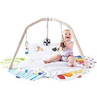 The Play Gym by Lovevery Stage-Based Developmental Activity Mat only $105.74