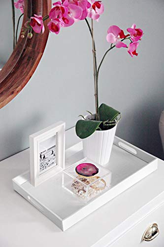 25 Top Lacquer Tray | Serving Trays