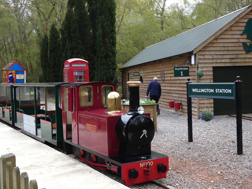 Huge Slides, Tiny Railway: Why To Visit Wellington Country Park