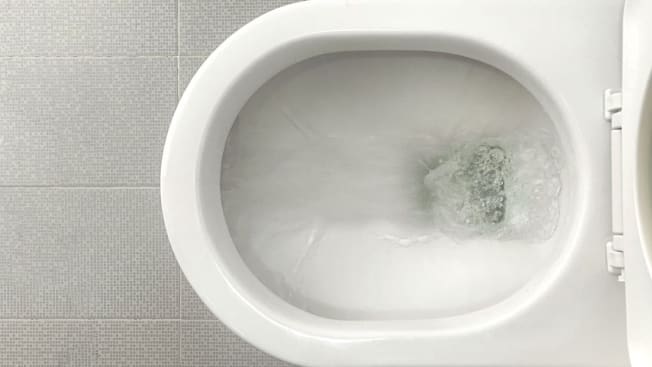 Smarter: 👀Weird Things Found in Toilets