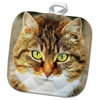 3D Rose Cute Image Domestic Cat People-Animal-Pet-Kitty Pot Holder, 8 x 8